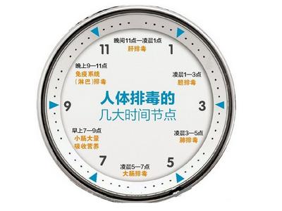 人体排毒时间表您还在相信吗